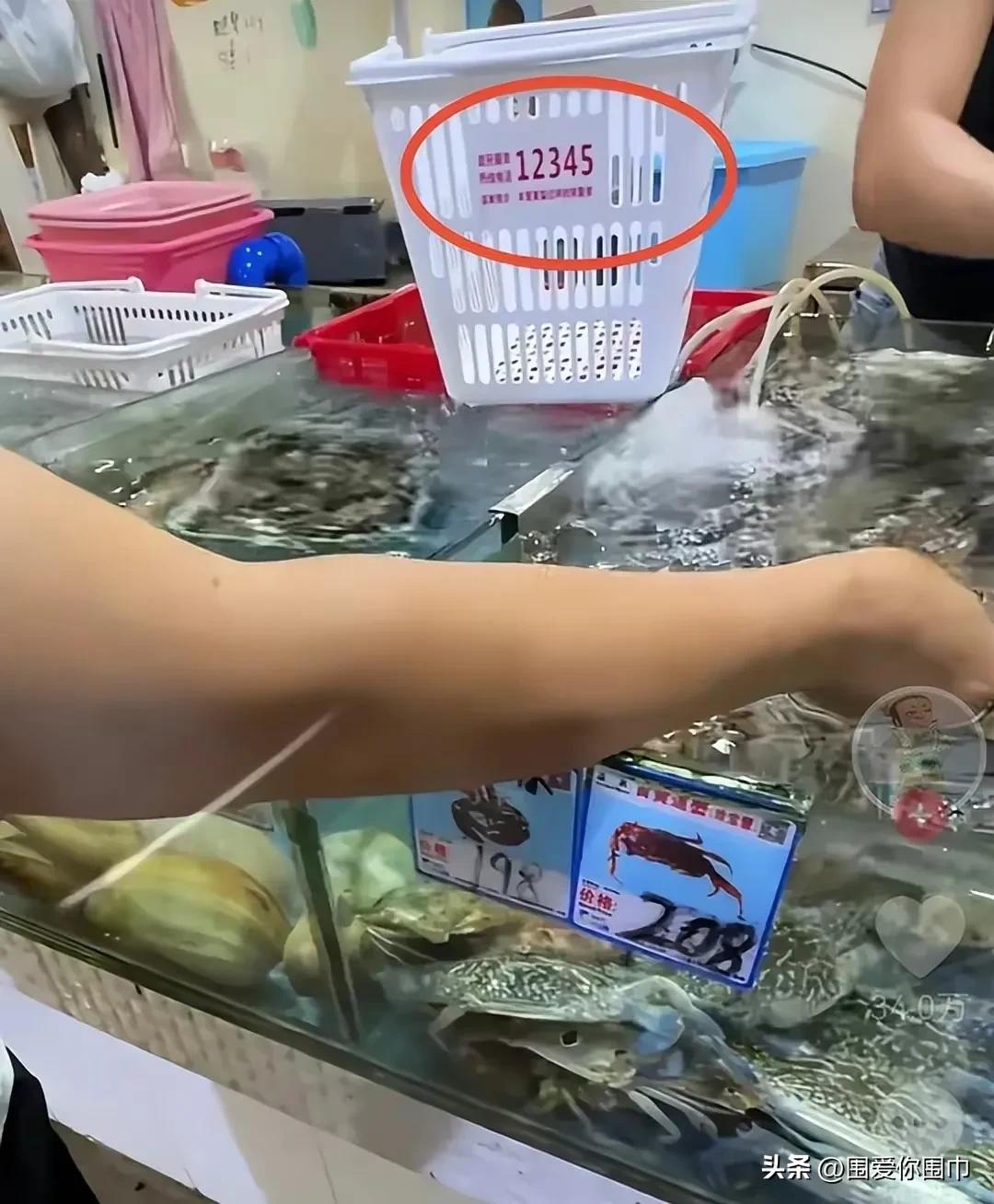 铁头惩恶扬善举，三亚海鲜被整顿。