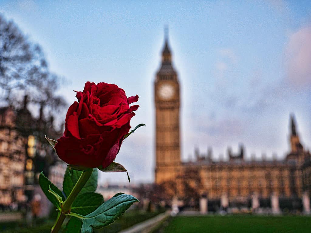 七夕情人节一首浪漫的情歌送给你,情人节最好听的经典情歌