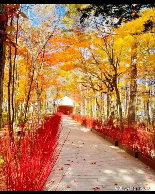 50岁快到了怎样申请退休金,50岁还没有养老金怎么办