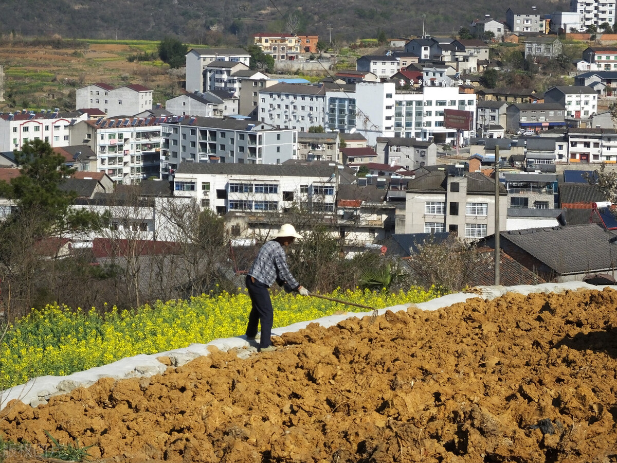 农村盖房不留院子的风水弊端,回农村盖房前景如何