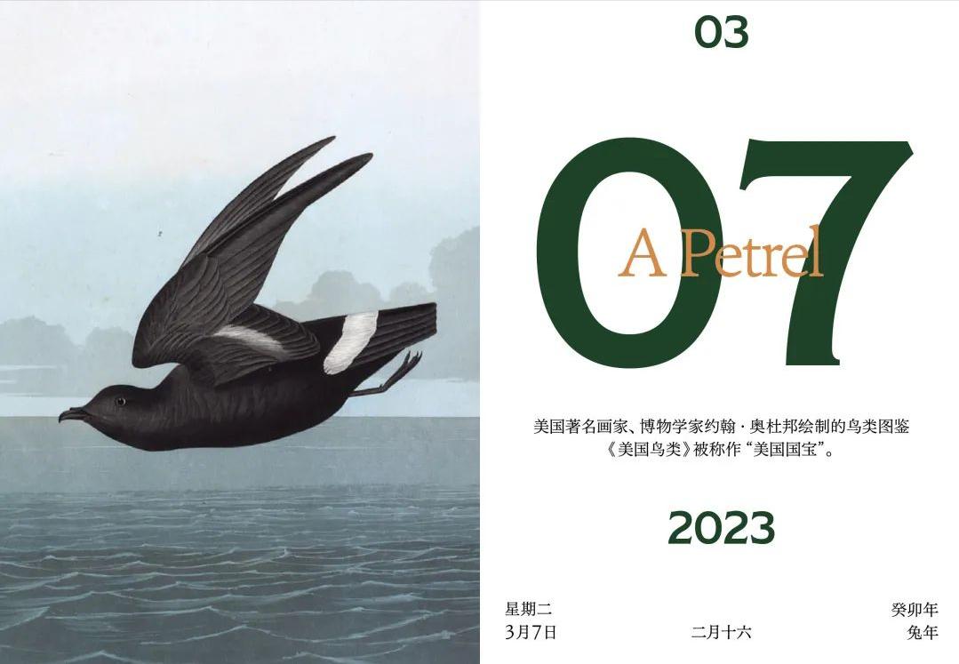 读书人，这5道智识挑战题，答上来算我输