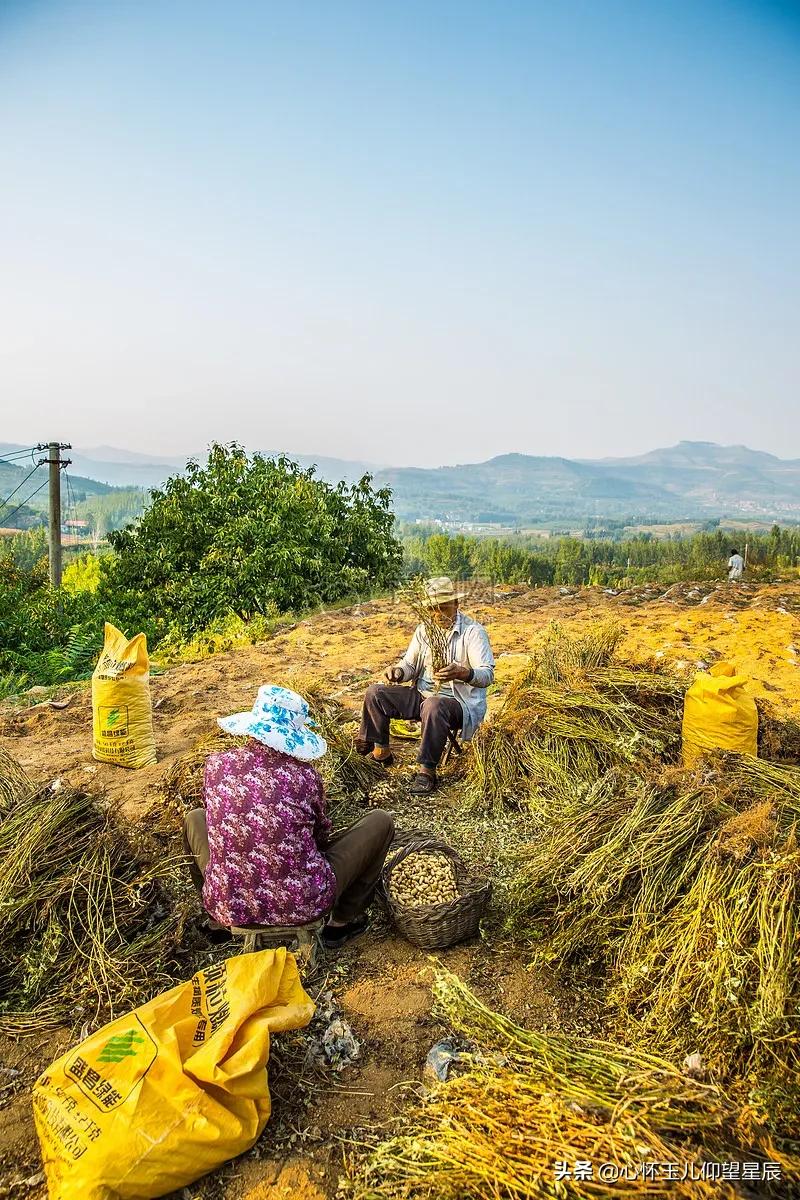 一旦发生战争需要购买什么物资,一旦战争打起来什么东西最不值钱