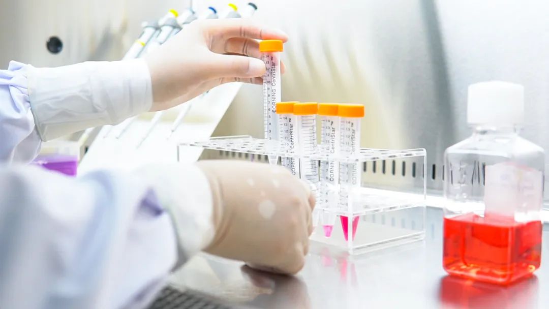 闫小君教授真的假的,闫小君教授第四军医大学