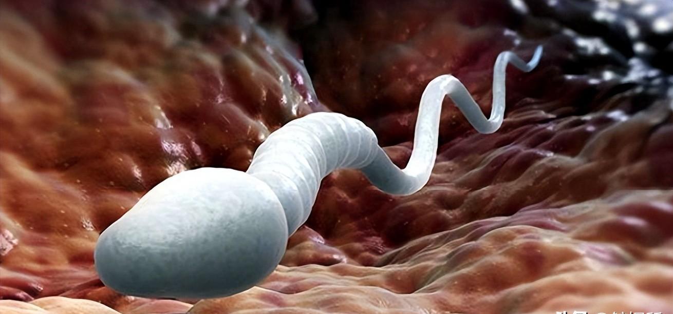 科学家精子运动违背牛顿第三定律,精子科学家