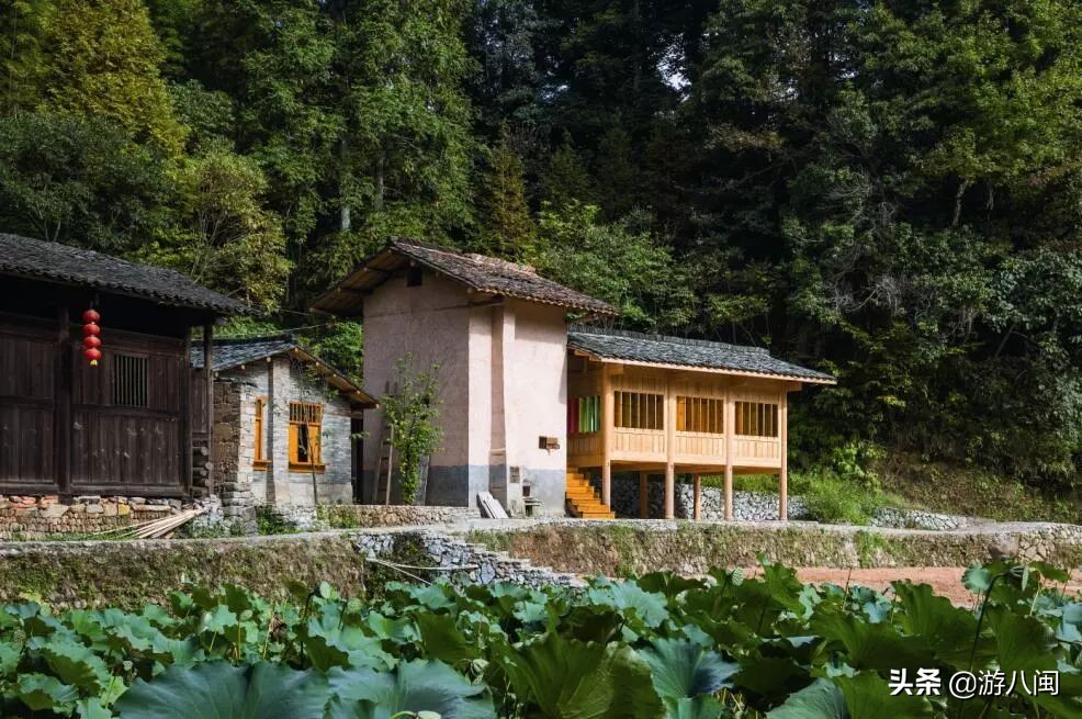 世界最大的梯田,世界梯田之最