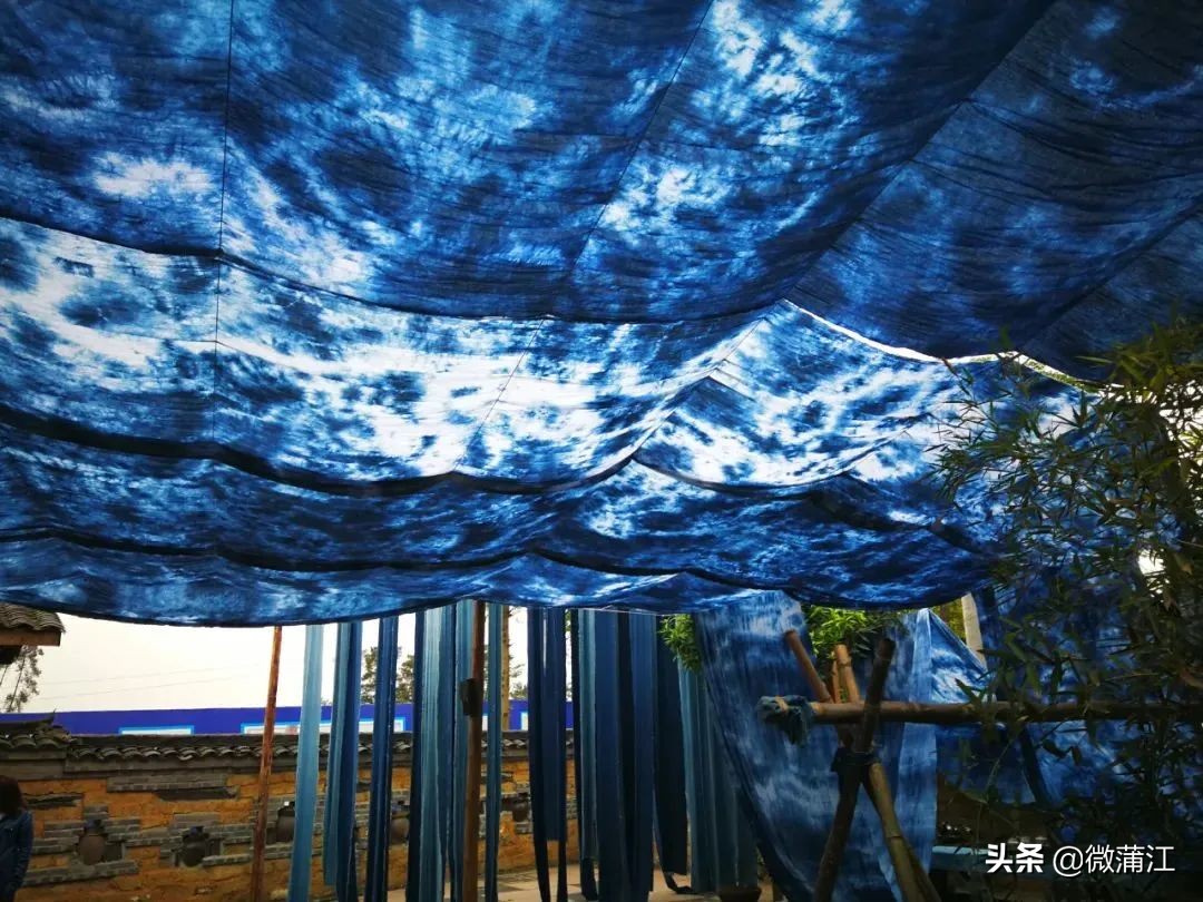 【新蒲江人】成都蒲江县乡村规划师邓小玲：扎根基层10年做乡村和规划之间的“桥梁”