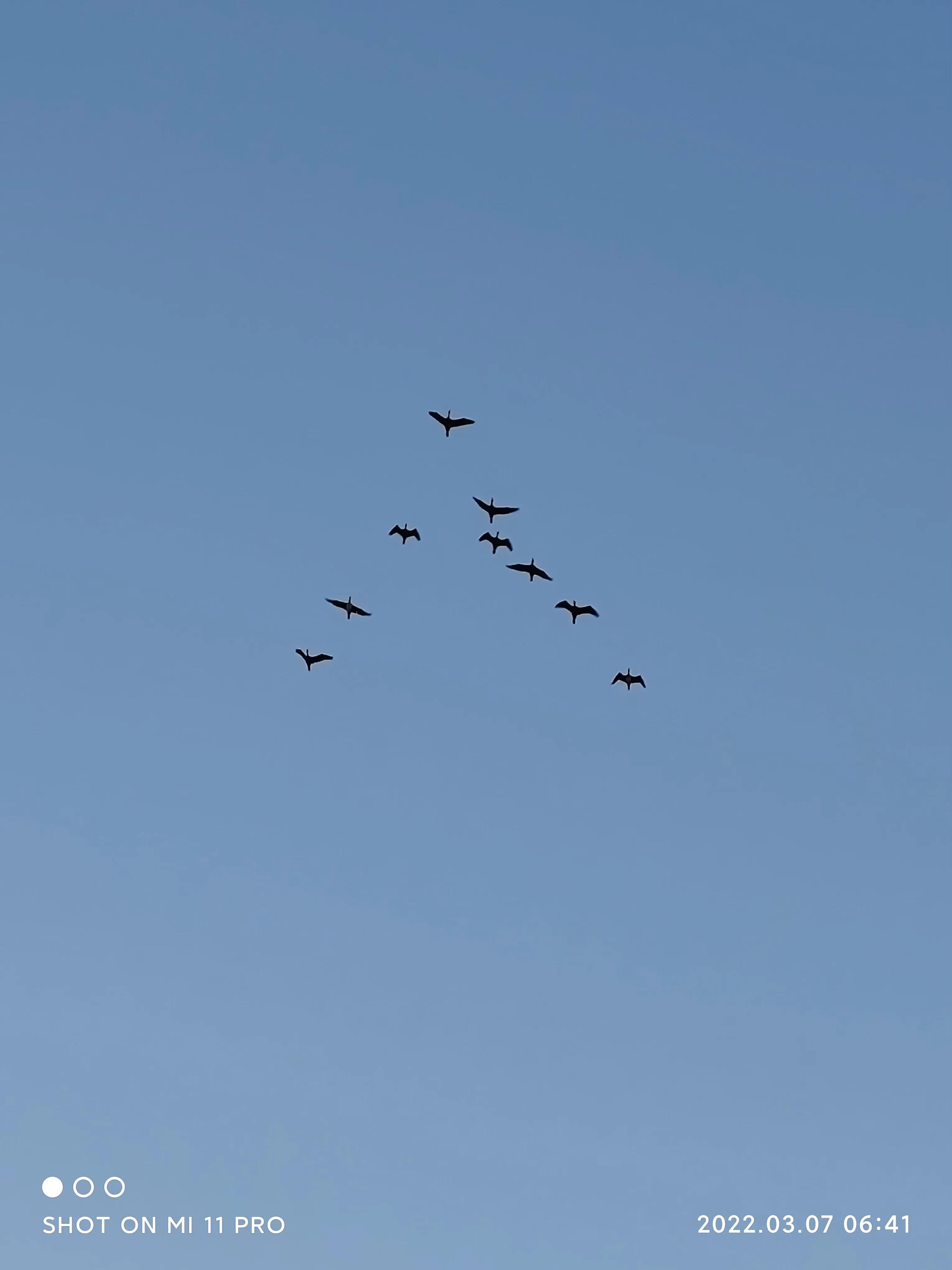 北征北纬南征南纬,北征南战全文