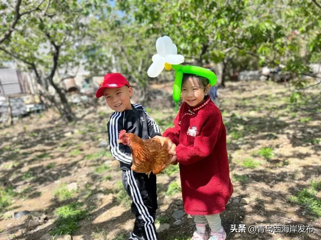 现实版小森林，这些藏在西海岸周边的乡野太治愈