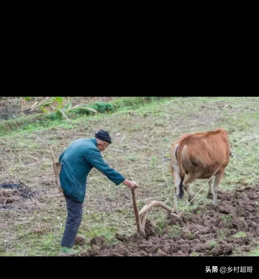 农民的挣钱方法最简单的,农民最好的赚钱路子