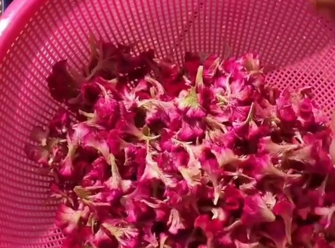 适合秋季喝的八种花茶,这些小众茶你喝过几种