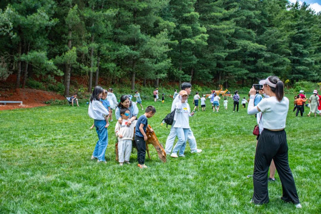 昆明旅游攻略一日游景点推荐理由,昆明旅游景点推荐一日游攻略图