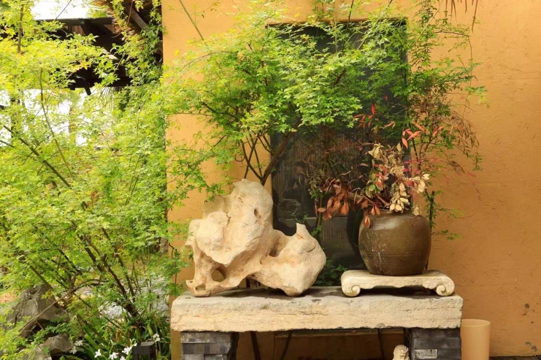 小楼周刊（336）：2023年第十四期