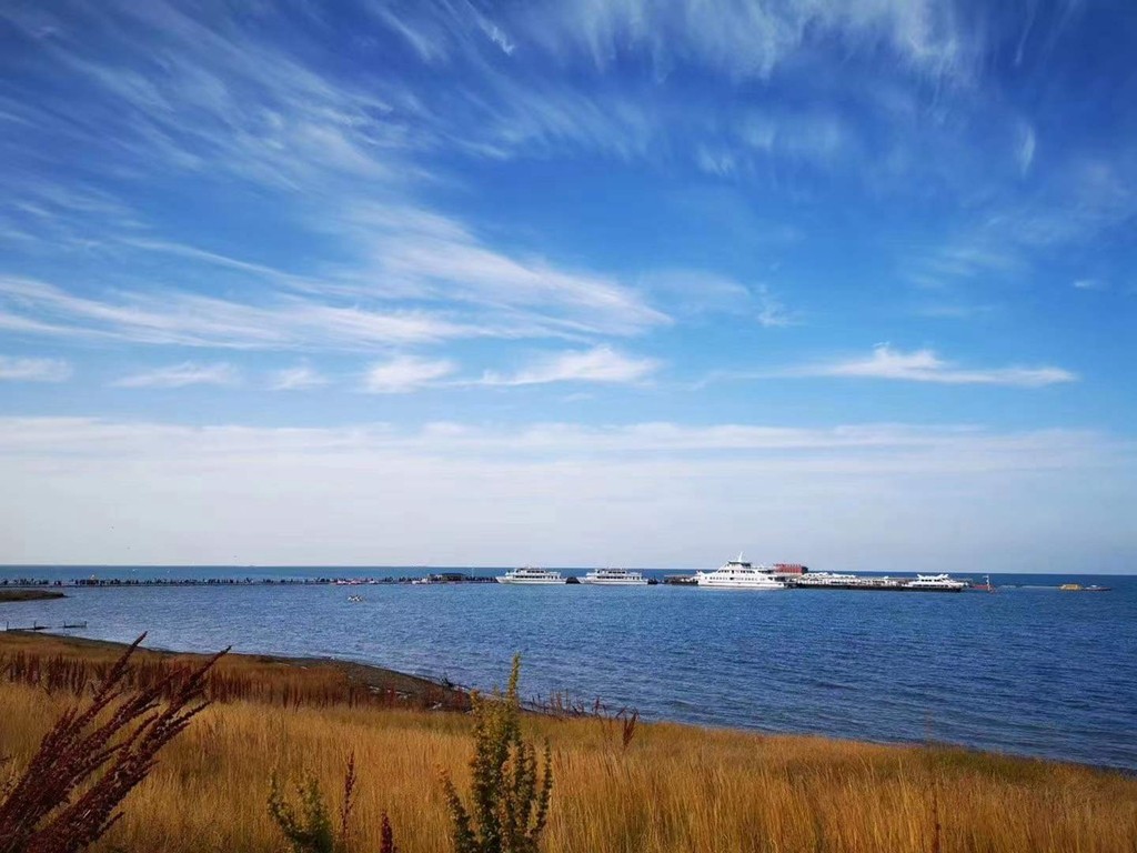 荣耀畅玩30plus测评黑色,荣耀畅玩30plus官方售价5g