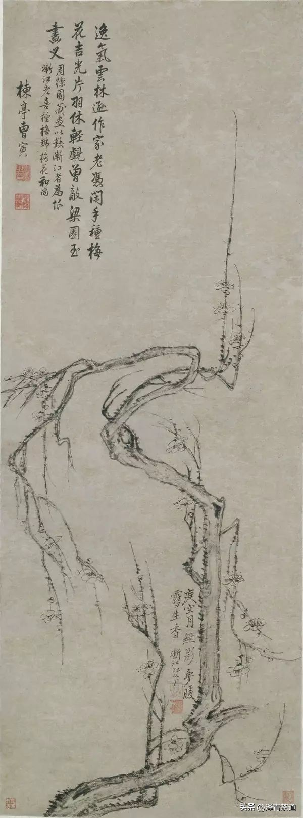 那些充满意境的诗句,那些富含禅意的句子