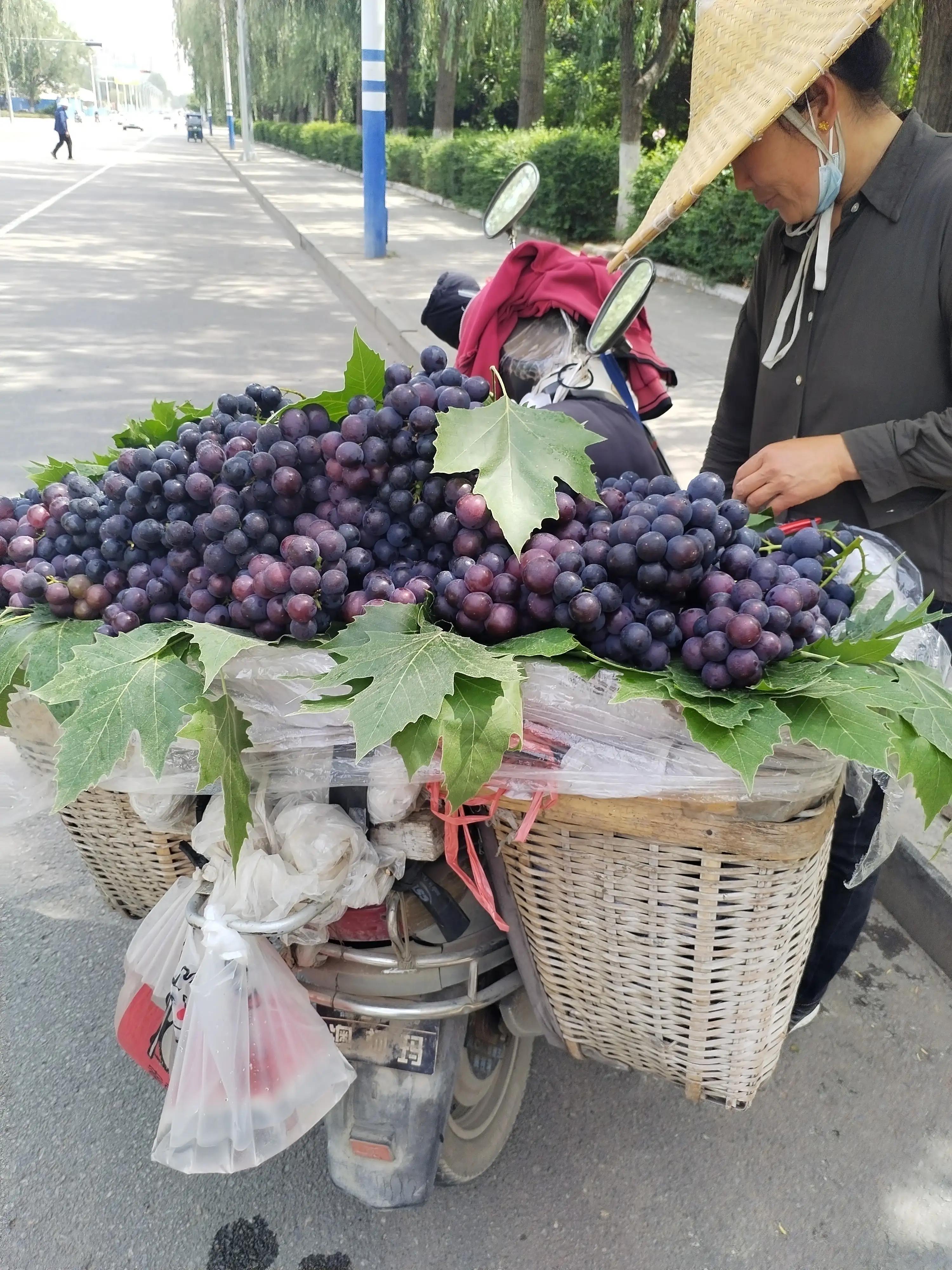 靠一辆电动自行车能做什么生意,现在做电动自行车生意还能赚钱吗