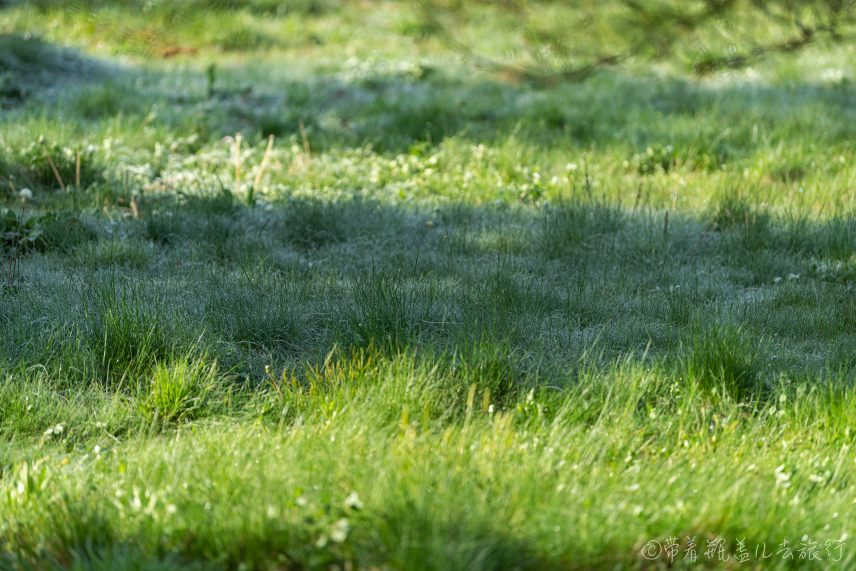 巫溪红叶自驾游,巫溪红池坝云中花海景点讲解
