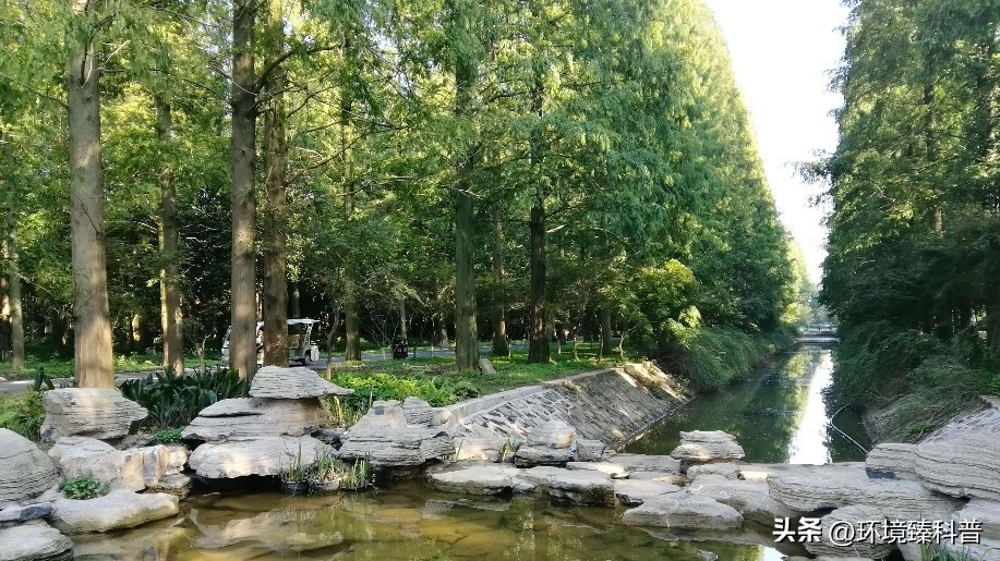 国家森林公园推荐,15个适合周末游的森林公园