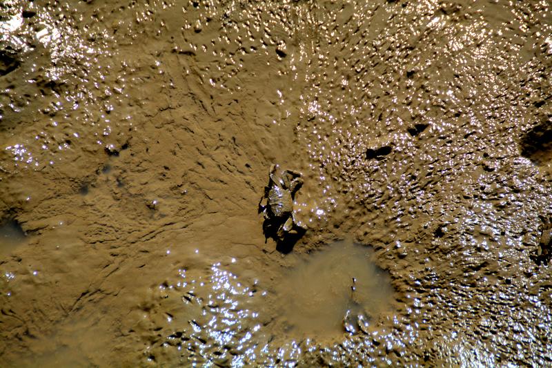 辽宁盘锦在哪个地方,去盘锦旅游哪里好