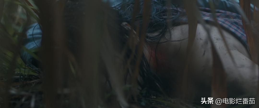 2023年最近最火的五部剧,2023年有哪些好剧值得期待