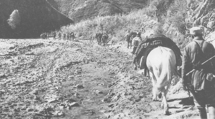 中原突围以后有什么失利,中原突围最后去哪了