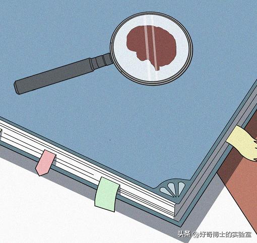 人类为什么四季发情,为什么人类都喜欢恋爱