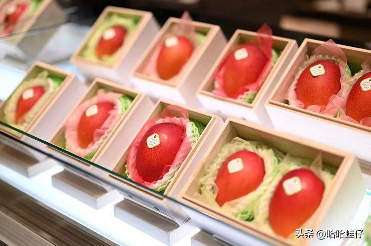 最贵的进口水果店,日本最贵水果店
