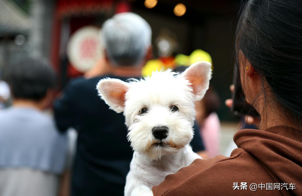 24款雷克萨斯rx专业试驾,沉浸式试车雷克萨斯rx