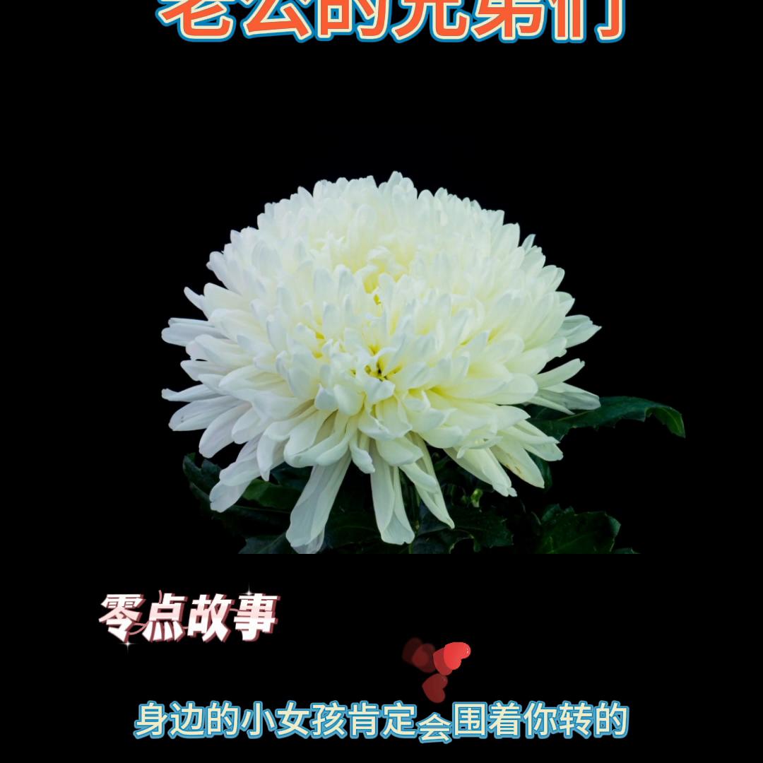 祝朋友开心快乐每一天祝福语 (祝朋友开心快乐的文案)