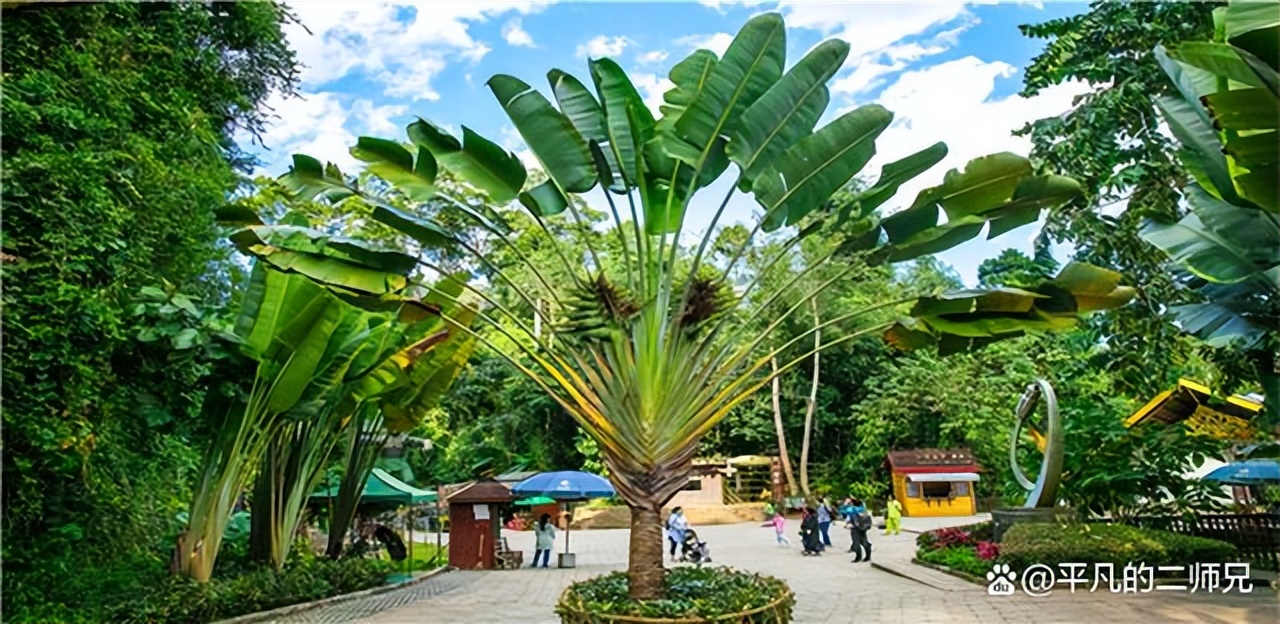 小众旅游景点西双版纳动物园,西双版纳动物多的景点