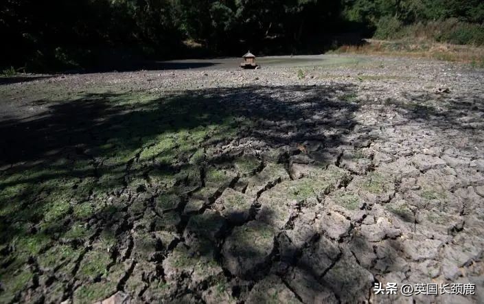 见证历史：英国将取消BRP！首相候选人求教如何登上Vogue？