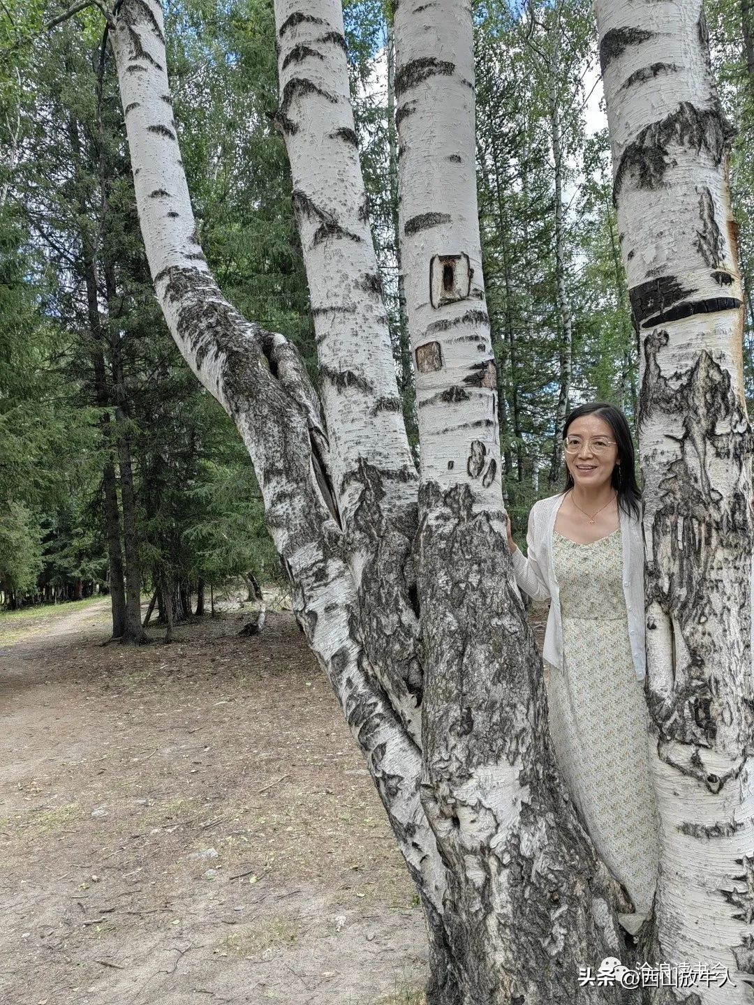 朝颜的散文,朝颜散文