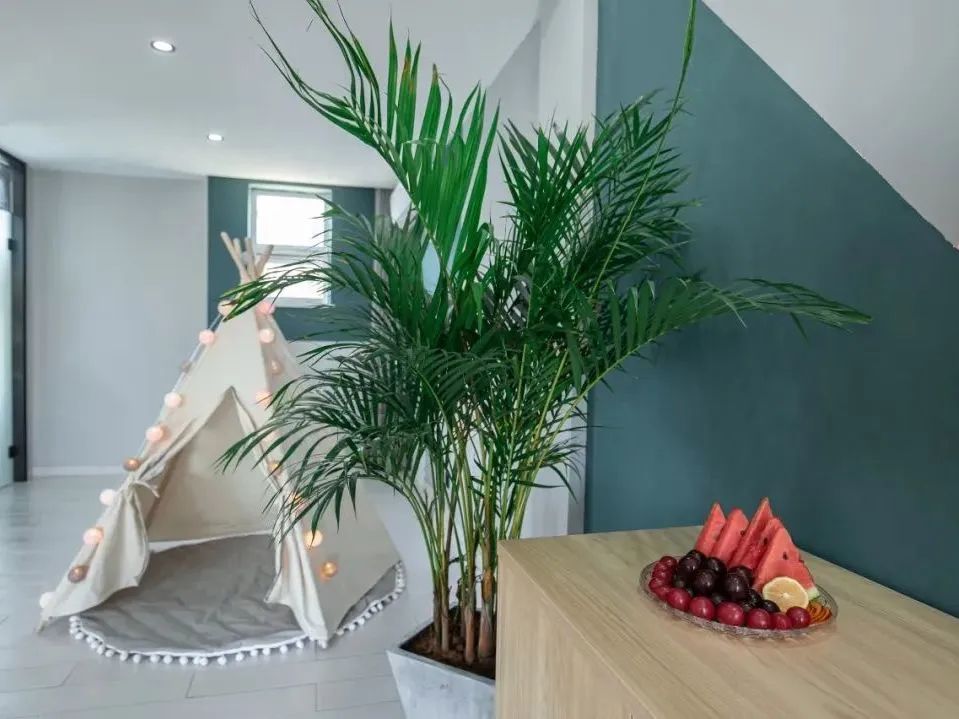 山东值得去的民宿,山东最适合去的民宿