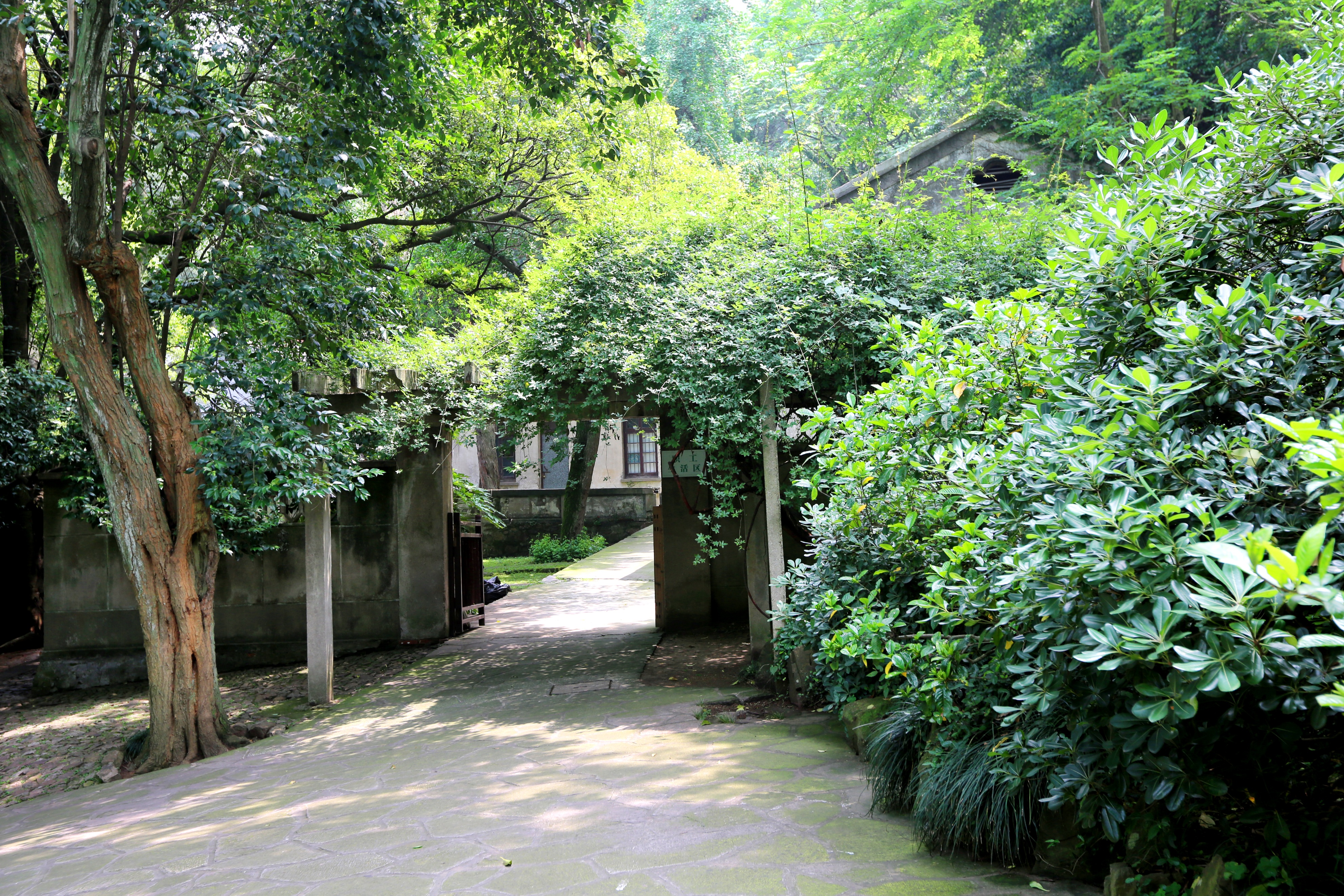 无锡十大最美古镇景点排名榜,无锡江南水乡旅游攻略