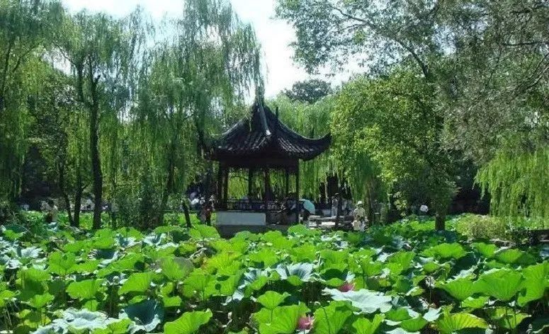 苏州旅游自驾一日游,苏州旅游一日游亲子游