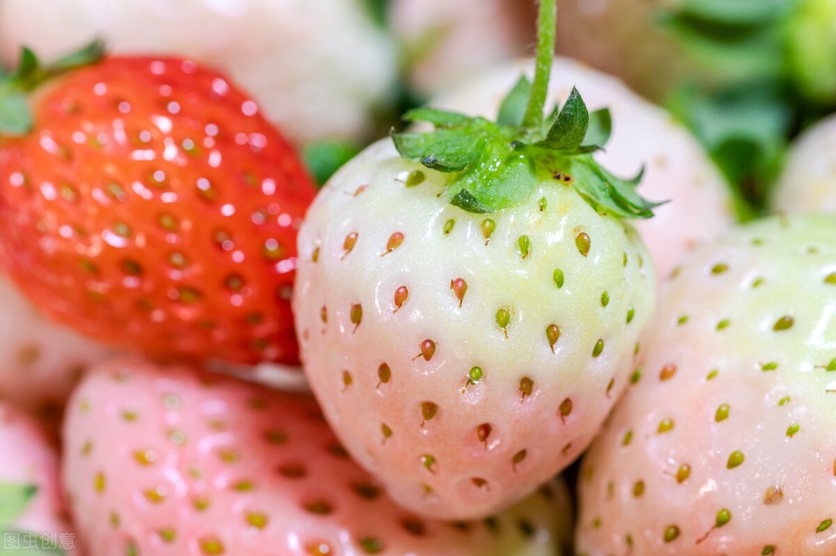 流花随笔之～三八节，搞点事情增进夫妻情感生活