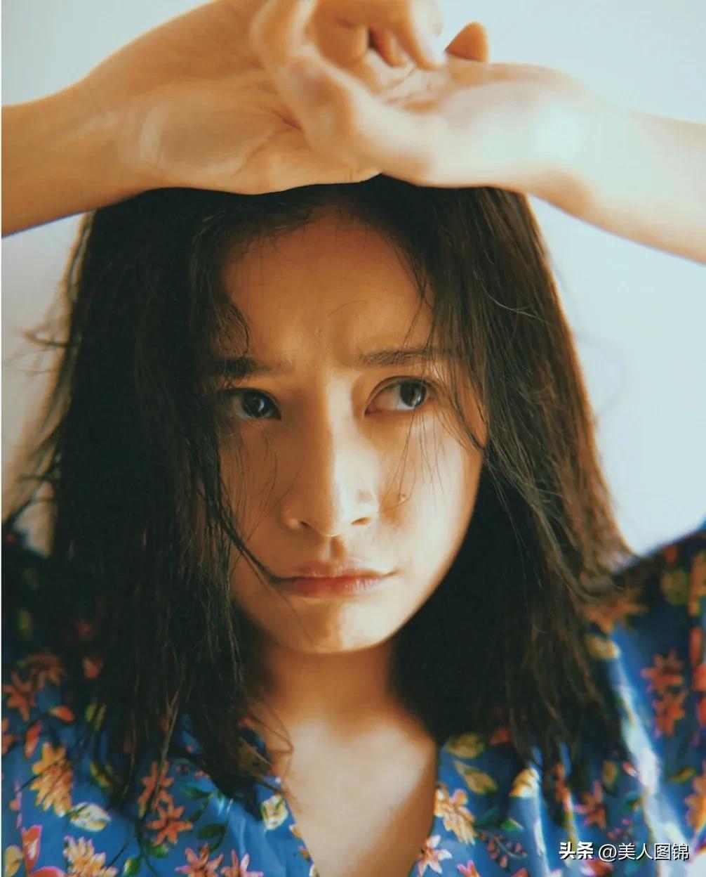 越南芝芙,芝芙越南