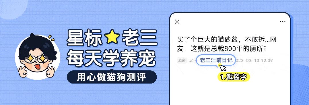 妹子凌晨1点喂猫倒出一堆蟑螂，发出尖锐爆鸣声，猫：妈又买高蛋