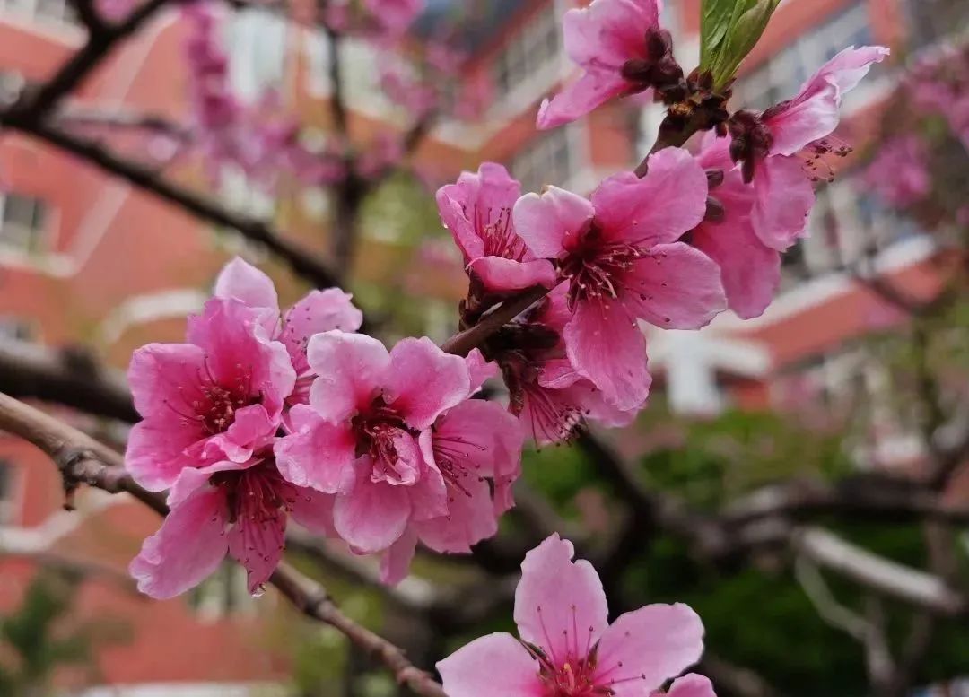 兰州西北中学自主招生时间,兰州西北中学自主招生简章