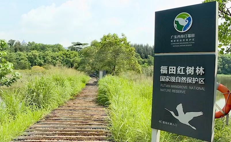 深圳十大必去的景点,深圳十大必玩景点排行榜