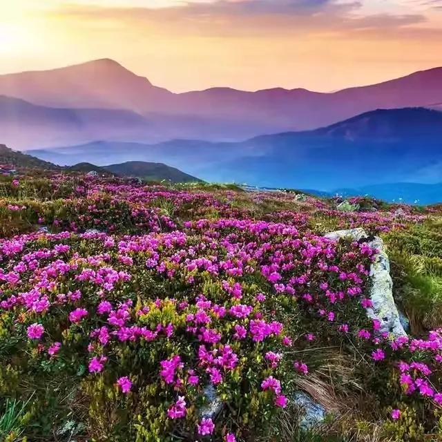 云南旅游避暑景点有哪些地方好耍,云南避暑美食胜地