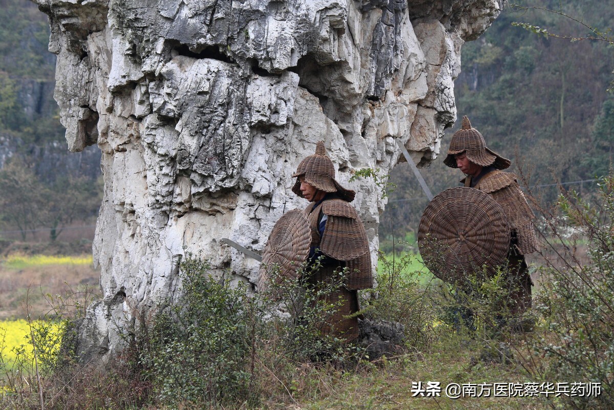 专治关节冷痛特效中药,治疗腿疼祛风除湿的中药有哪些