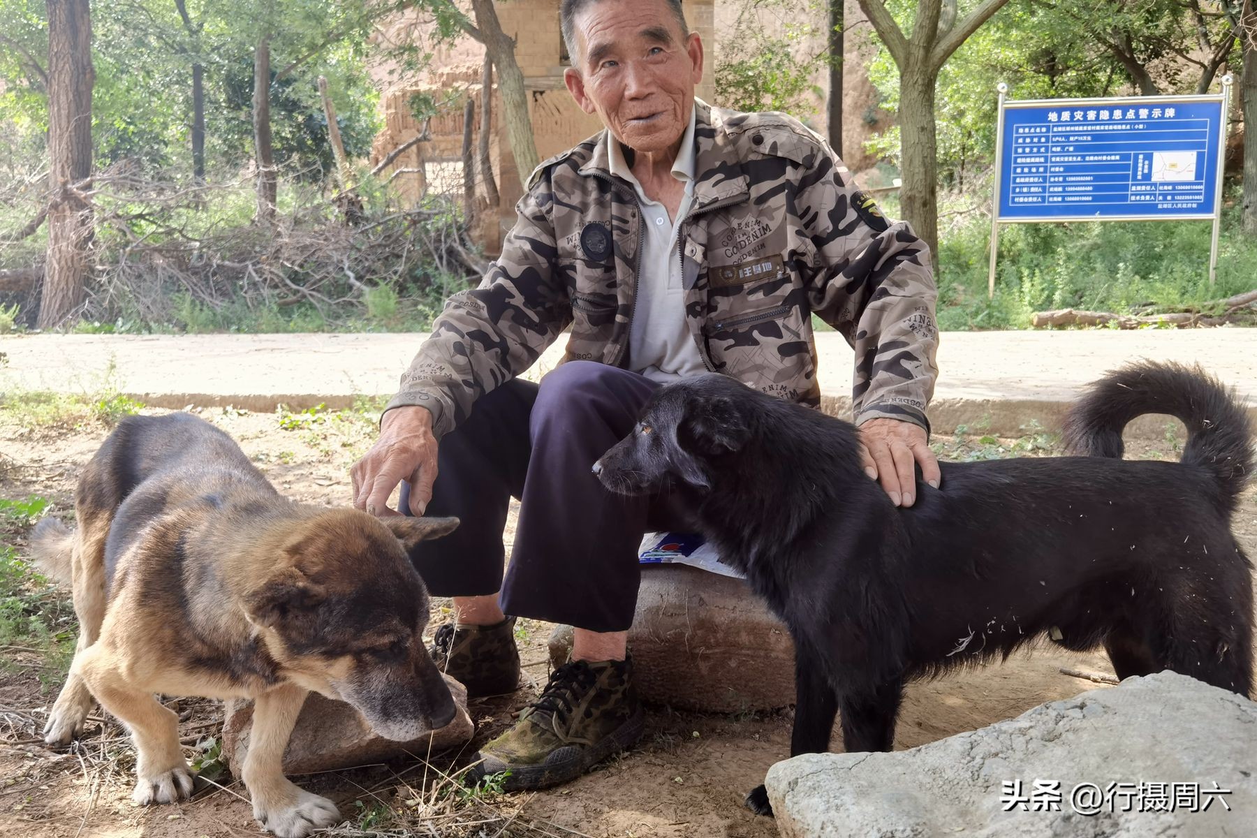 老人在山上养了两条狼狗,山里老人养的大狗