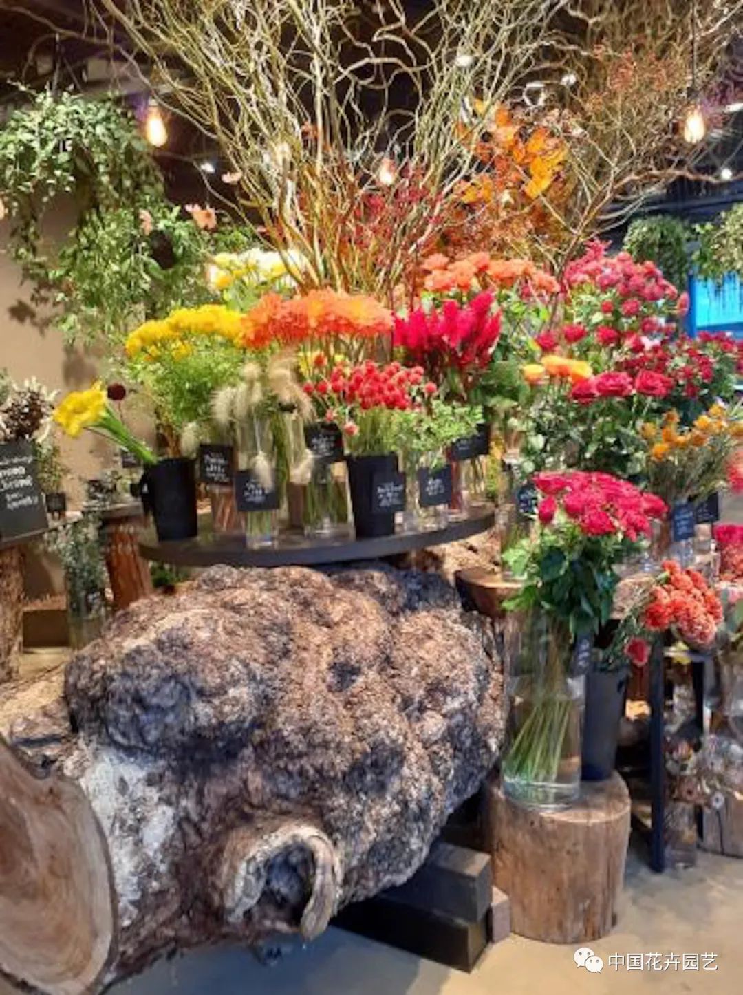 “2022日本花卉设计大奖”公布日本人花卉购买行为调查结果新鲜出炉|每周国际花讯