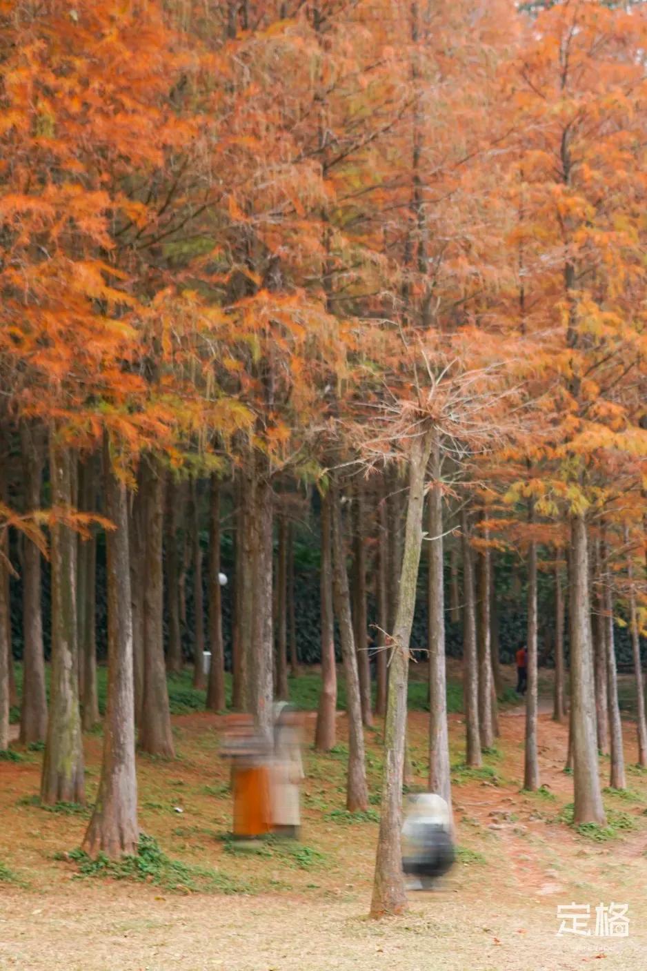 深圳最值得爬的景点,深圳十大最值得爬的山
