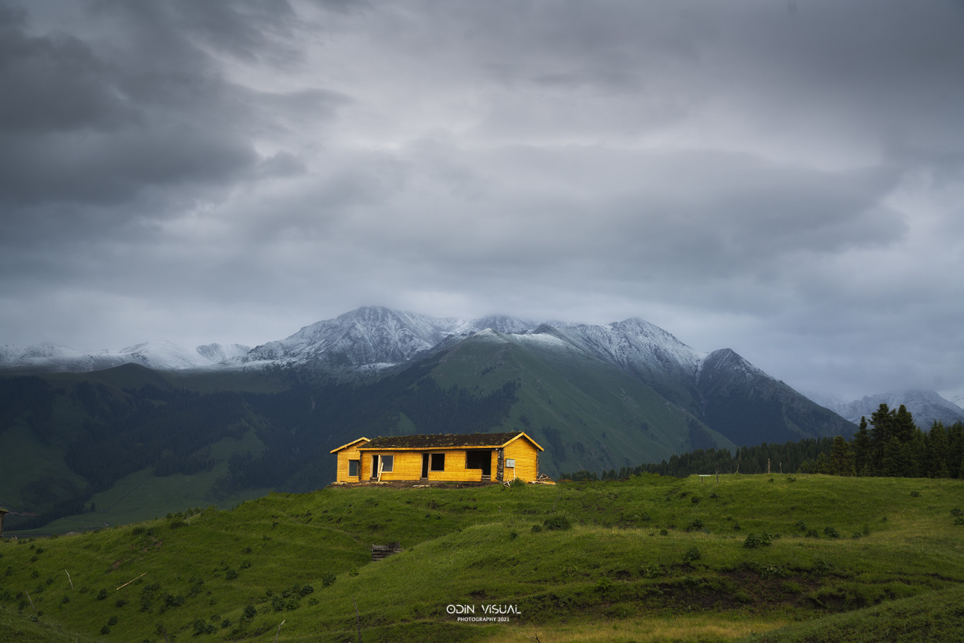 去新疆发现伊犁的美,世界之美尽在伊犁