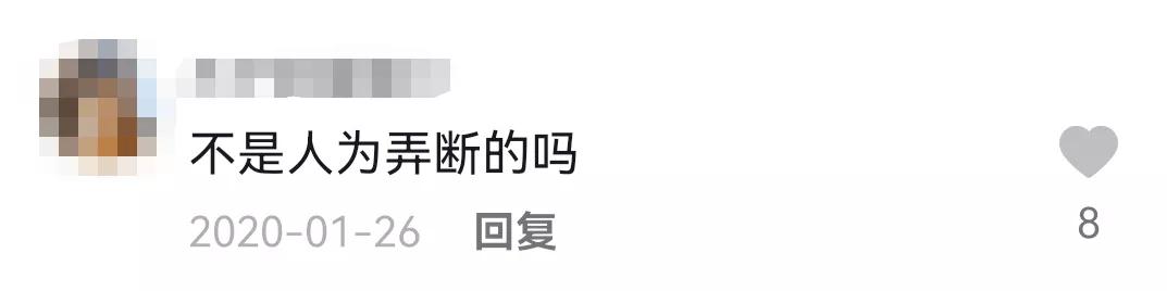 哪种猫招财好养活,哪种猫最招财又好养