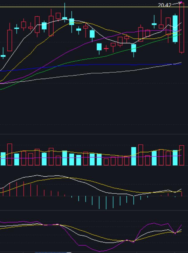 随心动含义,随心意交易软件怎么样