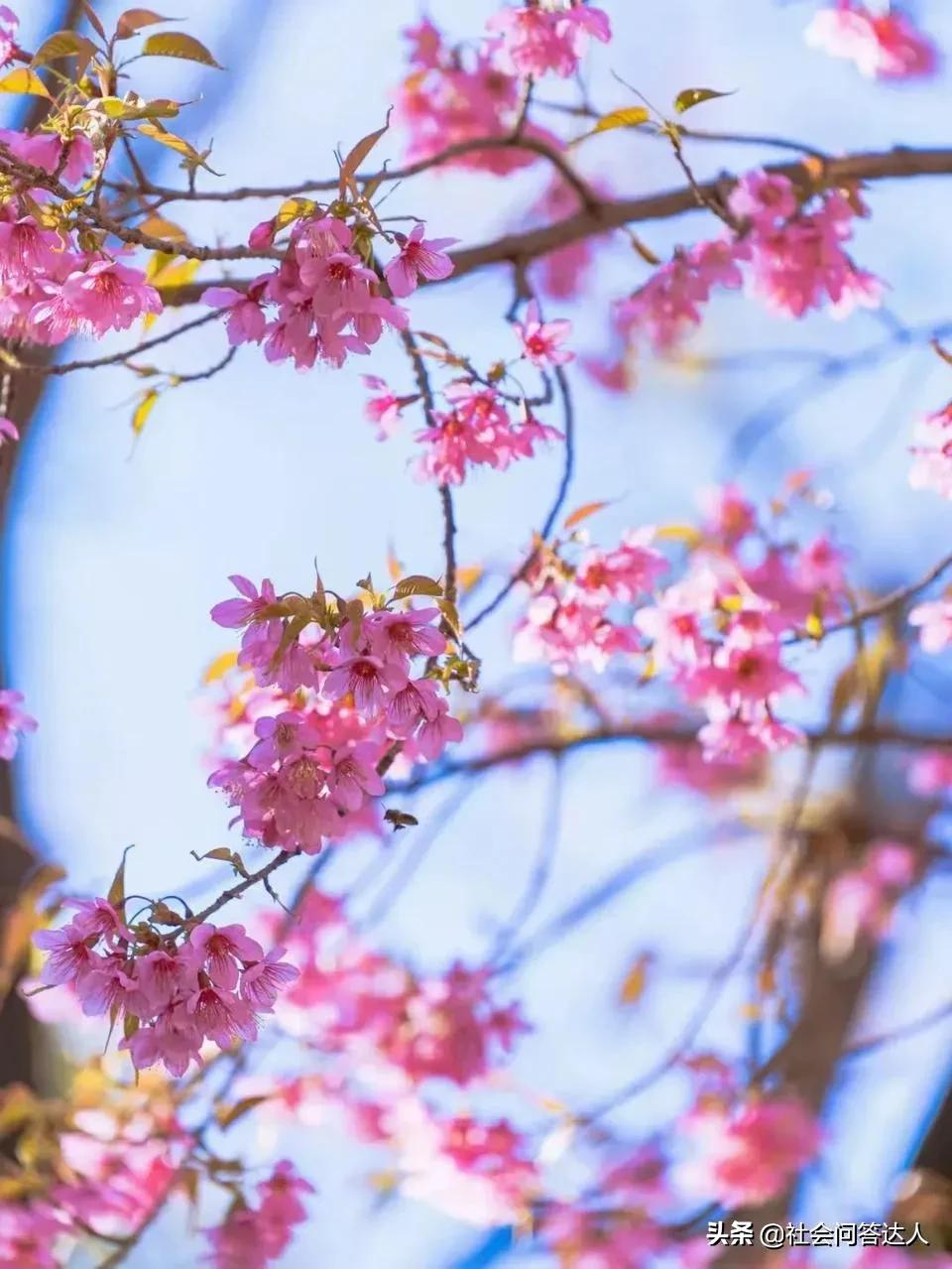 50岁快到了怎样申请退休金,50岁还没有养老金怎么办