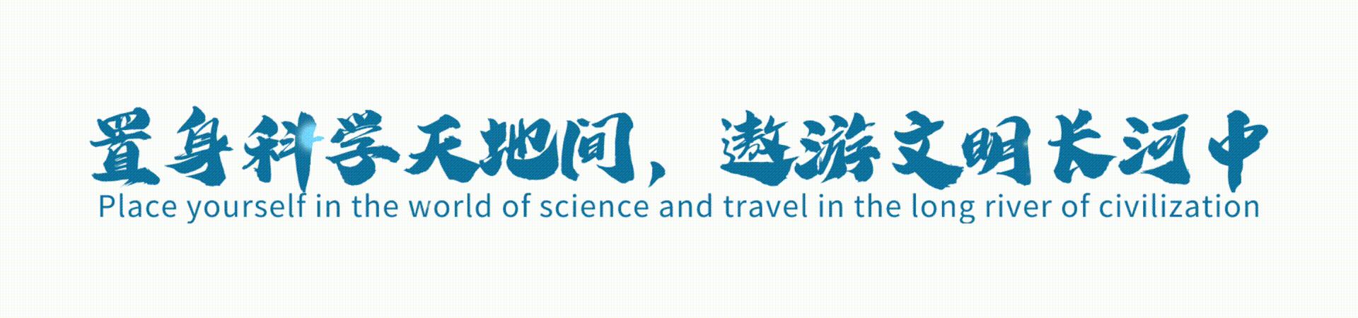 超市买的大米为什么煮不烂,为啥大米放超市里很久都不坏