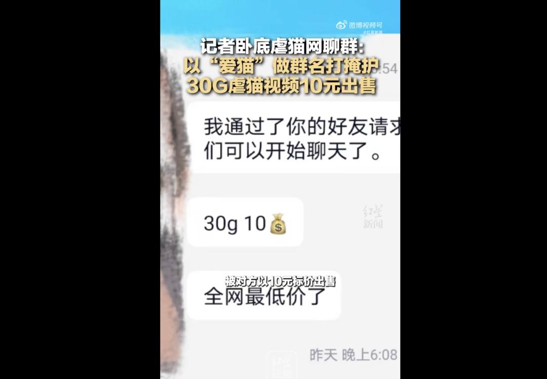 出手了!虐猫群伪装被撕开,上百个账号被封停……